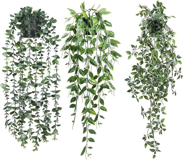 3 Pack Artificial Hanging Plants - Eucalyptus & Mandala Vines