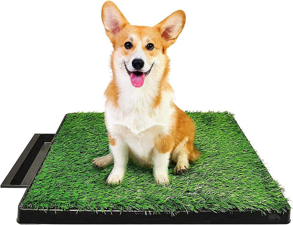 Dog Potty Tray - Indoor Pet Pee Grass Pad, Washable Artificial Grass, Portable Urine Mat Trainer