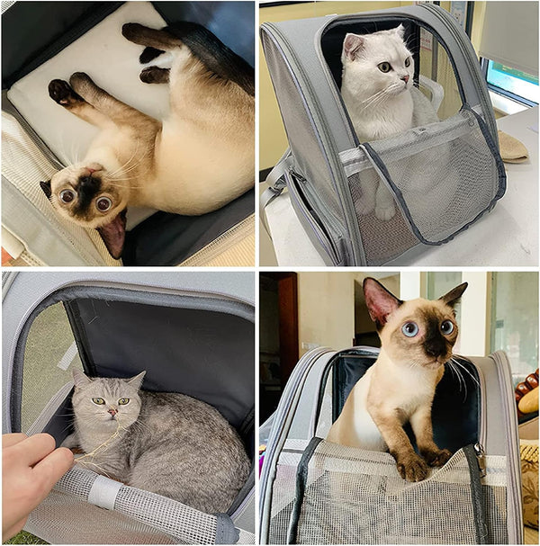 Cat Carrier Backpack - Pet Carrier with Transparent Hard Window for Small Dogs and Cats