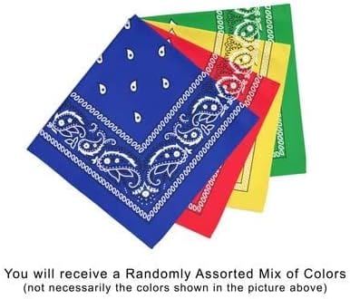 Dubkart 12 Pieces Bliss Paisley Print Cotton Bandana Set (Multicolor)