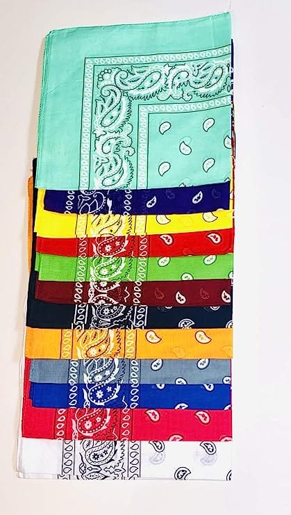 Dubkart 12 Pieces Bliss Paisley Print Cotton Bandana Set (Multicolor)