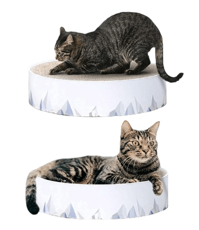 Dubkart 2in1 Cat Scratching Pad & Lounge Durable Indoor Cardboard