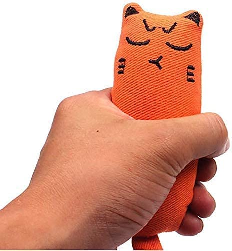 Dubkart 5 PCS Bite Resistant Catnip Cat Chew Toy