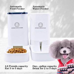 Dubkart Automatic Pet Dog Cat Food & Water Feeder Dispenser