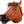 Dubkart Costumes Horse Head Rubber Mask Costume Party