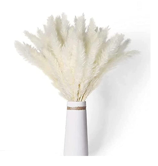 Dubkart Home decor 10 PCS Faux White Pampas Grass Leaves Décor