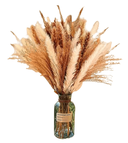 Dubkart Home decor 105 PCS Natural Pampas Grass for Home Decor