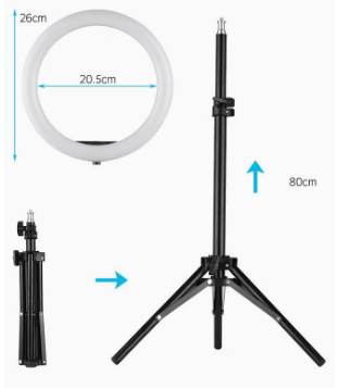 Dubkart Lights 10 inch Ring Light With Tripod Stand Phone Holder