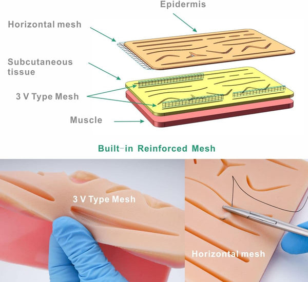 Dubkart Medical Training Practice Dissection Biology Kit