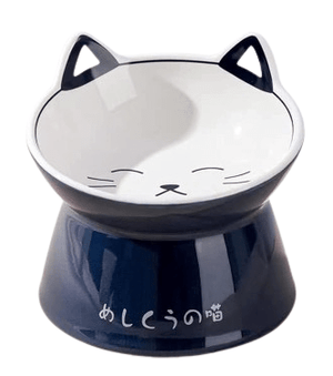 Dubkart Pet feeding Ceramic Elevated Pet Food Feeding Bowl for Cat & Dogs Bowl