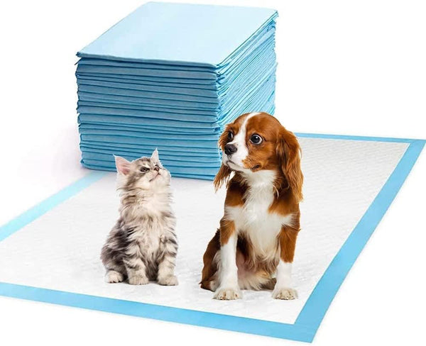 Dubkart Pet sanitary 100pcs Pet Pee Pads (Blue)