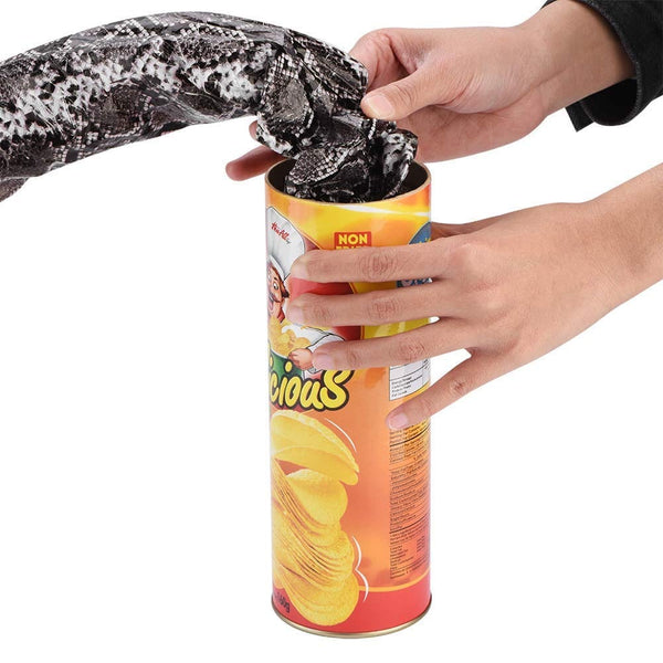 Dubkart Prank Trick Toy Snake Funny Potato Chip Box