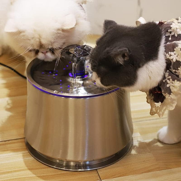 Dubkart Stainless Steel Automatic Cat Dog Water Fountain 2.5L