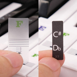Dubkart Transparent Color Stickers Keyboard Piano 88/61/54/49